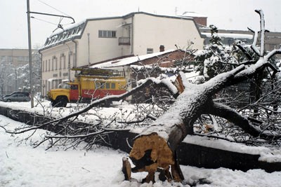 Апрельский снегопад вызвал в Северной Осетии чрезвычайную ситуацию