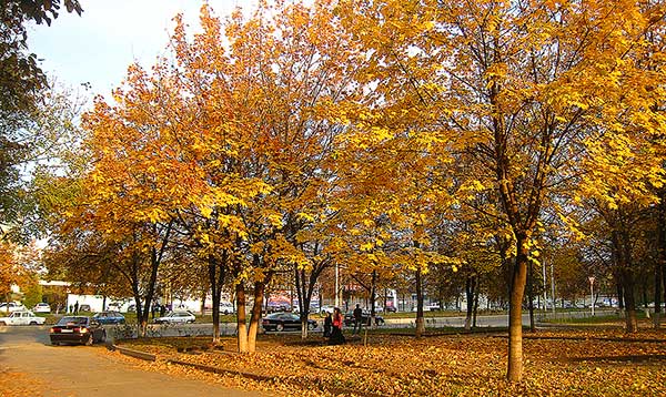 Золотая осень в Северной Осетии