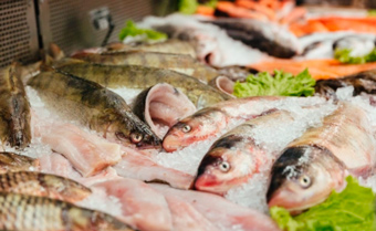 За год в Северной Осетии нарастили производство товарной рыбы в 1,5 раза
