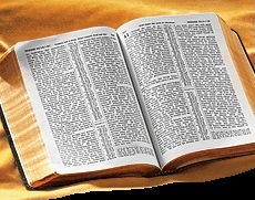 Прокуратура предупредила «Свидетелей Иеговы» в Моздоке: экстремистская литература – вне закона, но не в Интернете