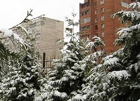 Владикавказ встречает Новый год свежим снегом