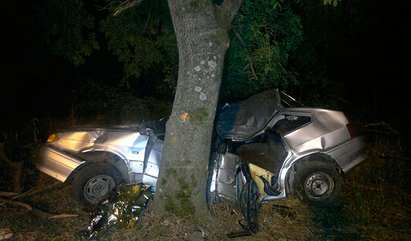 На трассе в Северной Осетии «Жигули» врезались в дерево: трое погибших