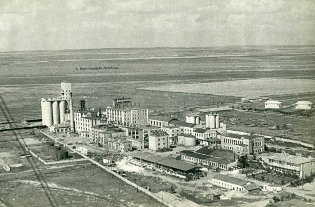 Как «советский кукурузный сахар» догнал американский