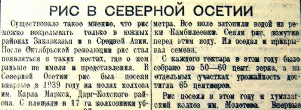 Рисовые плантации не прижились в Северной Осетии