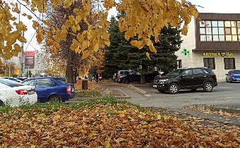 Ноябрь подарил Владикавказу «вечный» рекорд