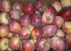 Кабардино-Балкария сохранила лидерство