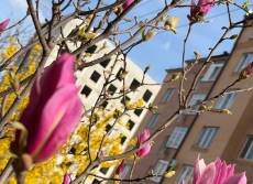 Апрельские качели